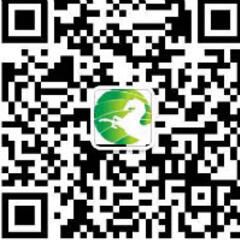云马翡翠 云马翡翠