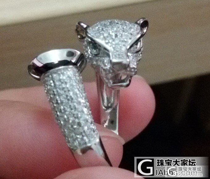 925银镀白金卡地亚款豹子头戒指托蓝珀 珍珠专用DIY 打酱油必备 活口圈精工货!_银